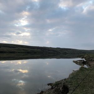 Meet your Posher, Riley